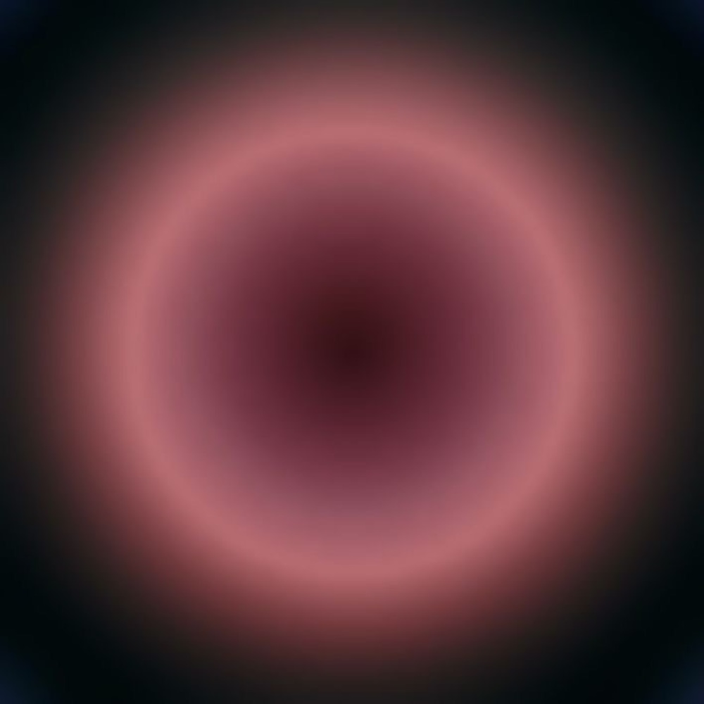 Meet your Posher, Bee